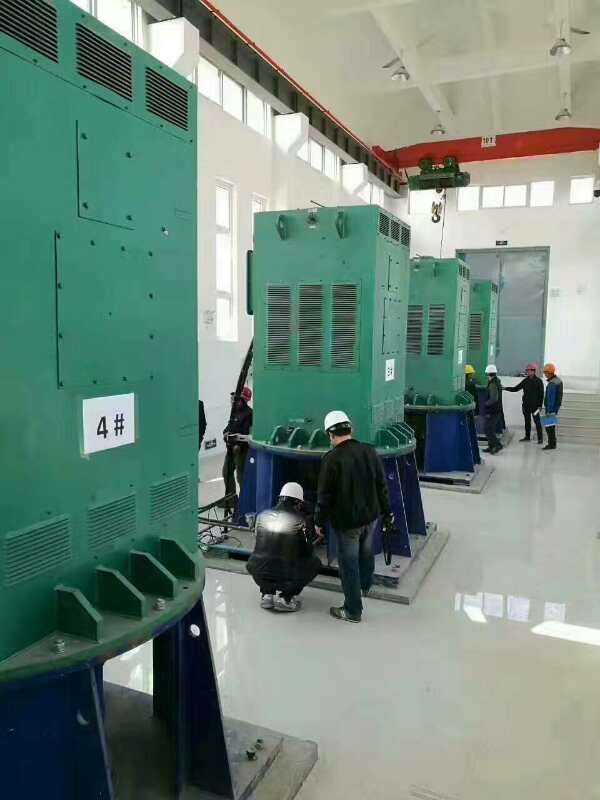靖江某污水处理厂使用我厂的立式高压电机安装现场